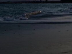 Ocean waves breaking  on the shoreline Stock Footage