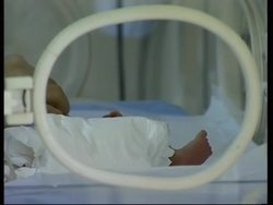 Lebanese mother gives birth to six healthy babies News Clip