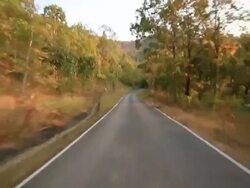 Riding on Road in forest Stock Footage