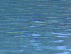 Water in a pool Up Close Stock Footage