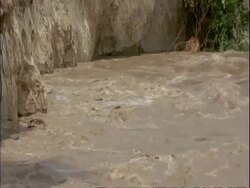 MS High angle view of River, Swollen from flood water, flowing through rocky valley, Mana Pools, Zimbabwe Stock Footage