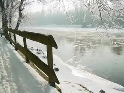 HD DOLLY: Walking Path By The River Stock Footage