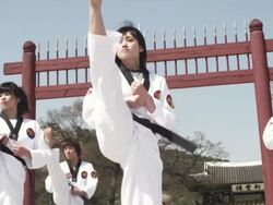  MS Korean Martial arts group performing taekwondo  / Kyungkido, Bucheon, South Korea Stock Footage