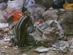 MS Shot of zabbaleen woman sorting through city rubbish to extract recyclable materials / Cairo, Egypt Stock Footage