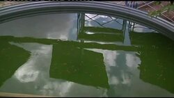 Solar power could be solution to chronic electricity shortage News Clip