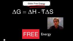 Bioenergetics Instructional Video