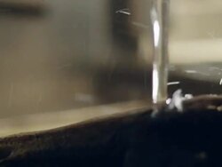 Restaurant food preparation Stock Footage