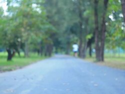 Leisure parks. Stock Footage