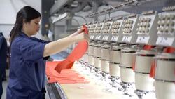 Fabric operator lining down the fabrics to be embroidered Stock Footage