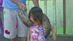 With the football World Cup just days away, one family in Brazil's northern host city of Manaus has been showcasing some of the exotic animals native to the Amazon rainforest that visitors may come across. News Clip