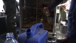 Old tiger saved from Gaza arrives in South Africa News Clip