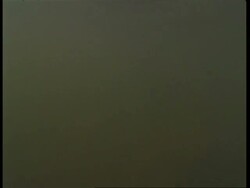 MS blue sky, camera submerges into murky water with stripy fish, Amazon, South America Stock Footage