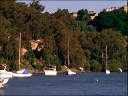 MS pan right across boats in harbour, trees in background, Australia Stock Footage