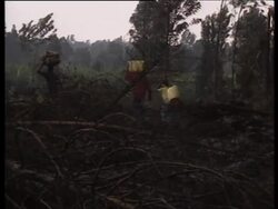 Beta footage of the last 24 hours developments News Clip