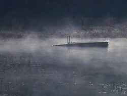 ZI Mist moving over a sunken dock in a marshy wetland area / Mount Desert Island, Maine, United States Stock Footage