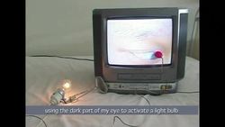 Shih Chieh Huang: Sculptures that’d be at home in the deep sea Instructional Video