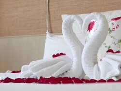 HD Swan bed towel Stock Footage