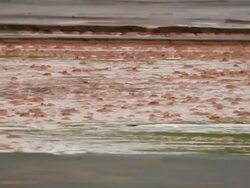 MS View of water flowing of dirt / Brazil Stock Footage