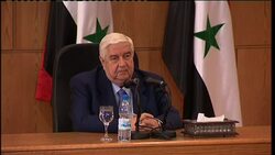 Syrian FM response to Arab League plan for unity government Instructional Video