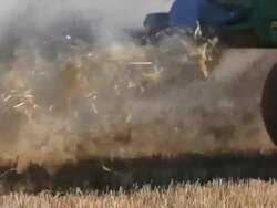 Farmer harvesting wheat field with combine harvester Stock Footage
