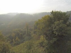 HD: Aerial Shot Of Green Trees Stock Footage