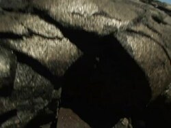 Medium crane - A plant grows on a hardened lava field beyond a cave in Hawaii. / Hawaii, USA Stock Footage