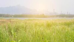 power plant Stock Footage