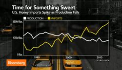 U.S. Honey Market Sweetened by Foreign Imports News Clip