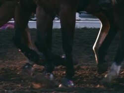 Close-up horses gallop in slow motion at a rodeo. Stock Footage