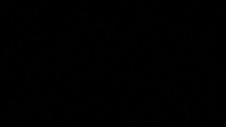 CLEAN : Progress in NAFTA talks but very slow: US trade official News Clip