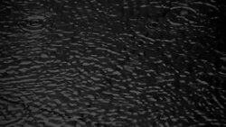 Slow motion at 240fps of rain water droplets on a pond Stock Footage