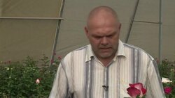 VOICED: Kenya flower farms go green to beat economic crisis News Clip