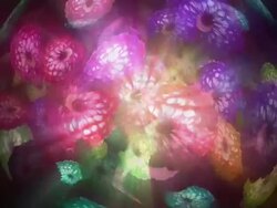 Flowers sphere shinny Background Stock Footage
