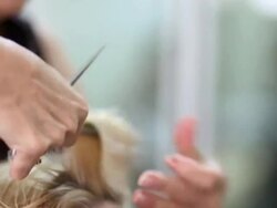 hair cut Stock Footage