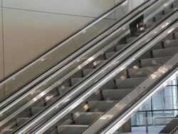 WS Physician moving down escalator while looking through chart / Seattle, Washington, USA Stock Footage