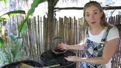 How to make Paper out of Elephant Poo?! | Maddie Moate Instructional Video