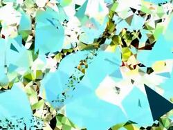 series transcendental fields : from almond blossoms,colorful (LOOP) Stock Footage