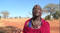 VOICED : In Kenya lion hunters become defenders News Clip