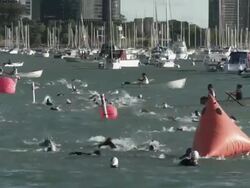 WS triathlon swim competition / Chicago, Illinois, USA Stock Footage