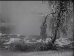 SEVERE WEATHER HITS AMERICA News Clip