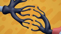 TED-ED: How do drugs affect the brain? - Sara Garofalo Instructional Video