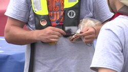 USA to be Spelled Out in Fireworks Over NYC News Clip