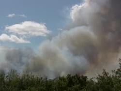 Wildfire Stock Footage