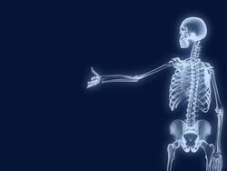 X-Ray Skeleton Presentation 1 Stock Footage