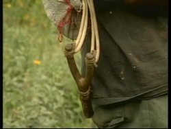 NICARAGUA: EXOTIC ANIMALS BEING SOLD ILLEGALLY TO NEAR EXTINCTION News Clip