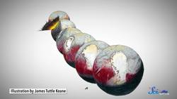 New Clues to the Structure of the Universe Instructional Video