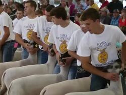Crowds Flock To Iowa State Fair For A Taste Of Agricultural Bounty Stock Footage