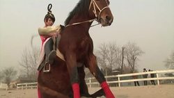 Equestrian riders in Xi'an, China revive the performances of the Tang Dynasty's dancing horses by the ruins of Da Ming Gong Palace. (Jan. 29) Instructional Video