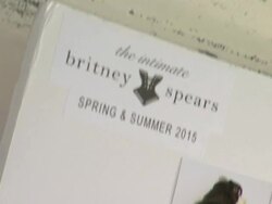 ATMOSPHERE - B-Roll at the Britney Spears Hosts The Exclusive Unveiling Of Her Signature Sleepwear Line: The Intimate Britney Spears Stock Footage