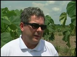 Sustainable farming effort launched in bid to halt deforestation News Clip